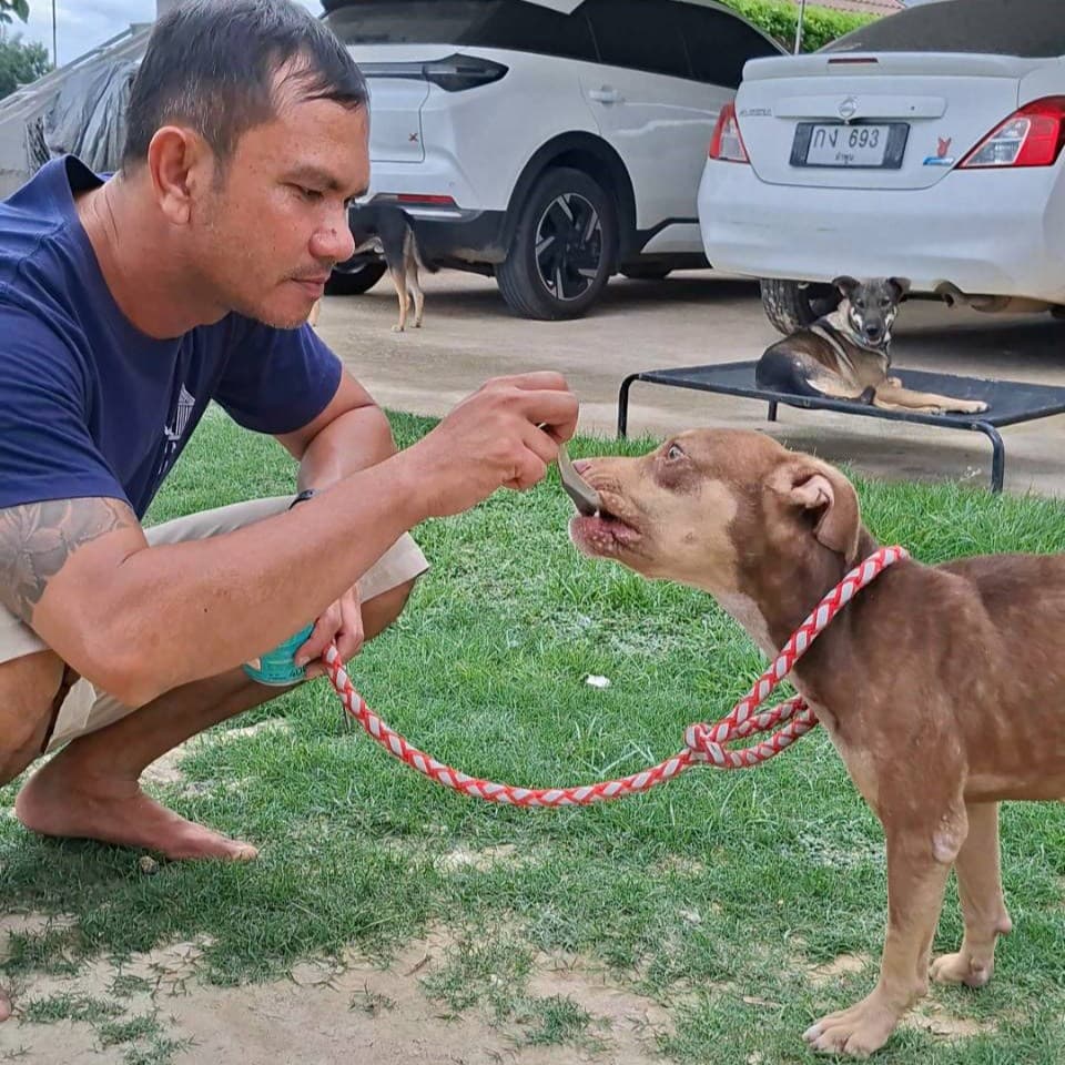 Emotional Rehabilitation